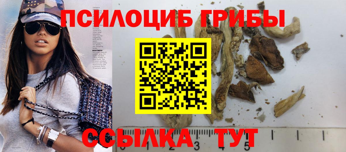 Псилоцибиновые грибы мицелий Бузулук